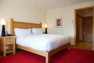 Отель The Clarence Дублин Номер Делюкс с кроватью размера «king-size»-2